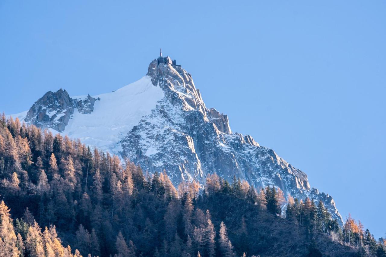 Chamonix Sud Studio With Mont Blanc Views 外观 照片
