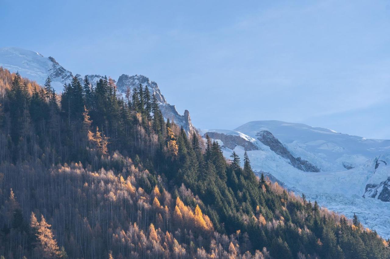 Chamonix Sud Studio With Mont Blanc Views 外观 照片